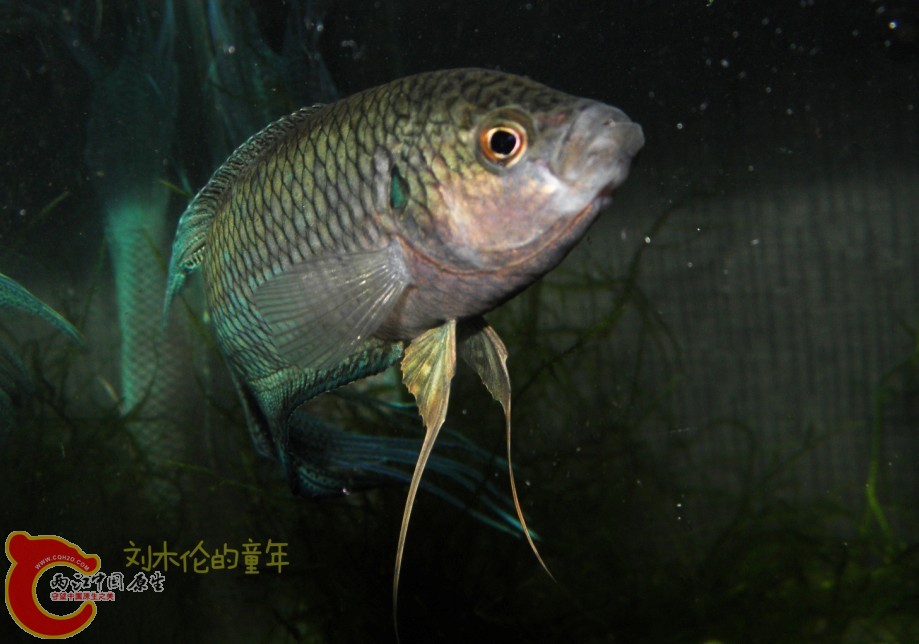 QQ图片20130705151123.jpg