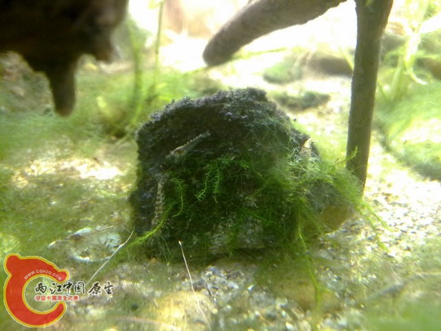 201308212381.jpg