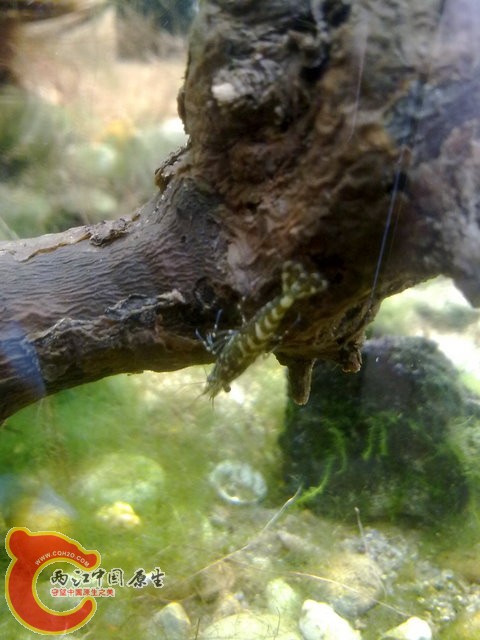 201308212389.jpg
