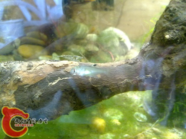201308212405.jpg