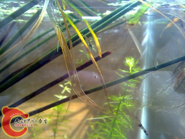 201308212415.jpg