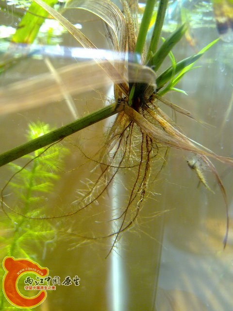 201308212416.jpg
