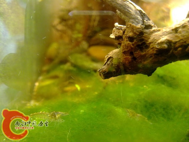 201308212422.jpg