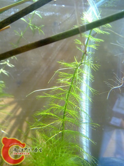 201308212445.jpg