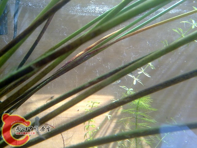 201308212446.jpg