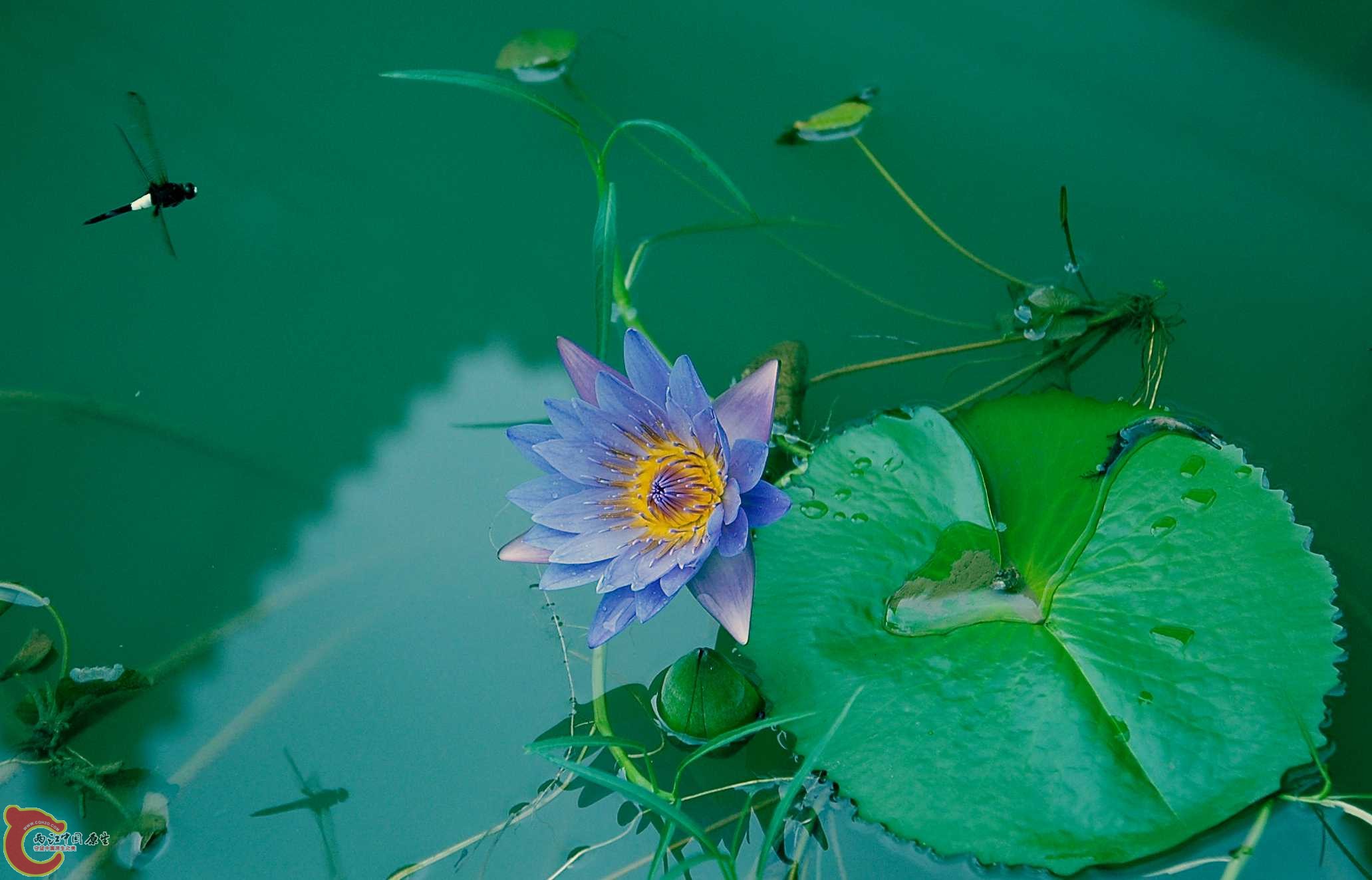 DSC_0991_副本.jpg