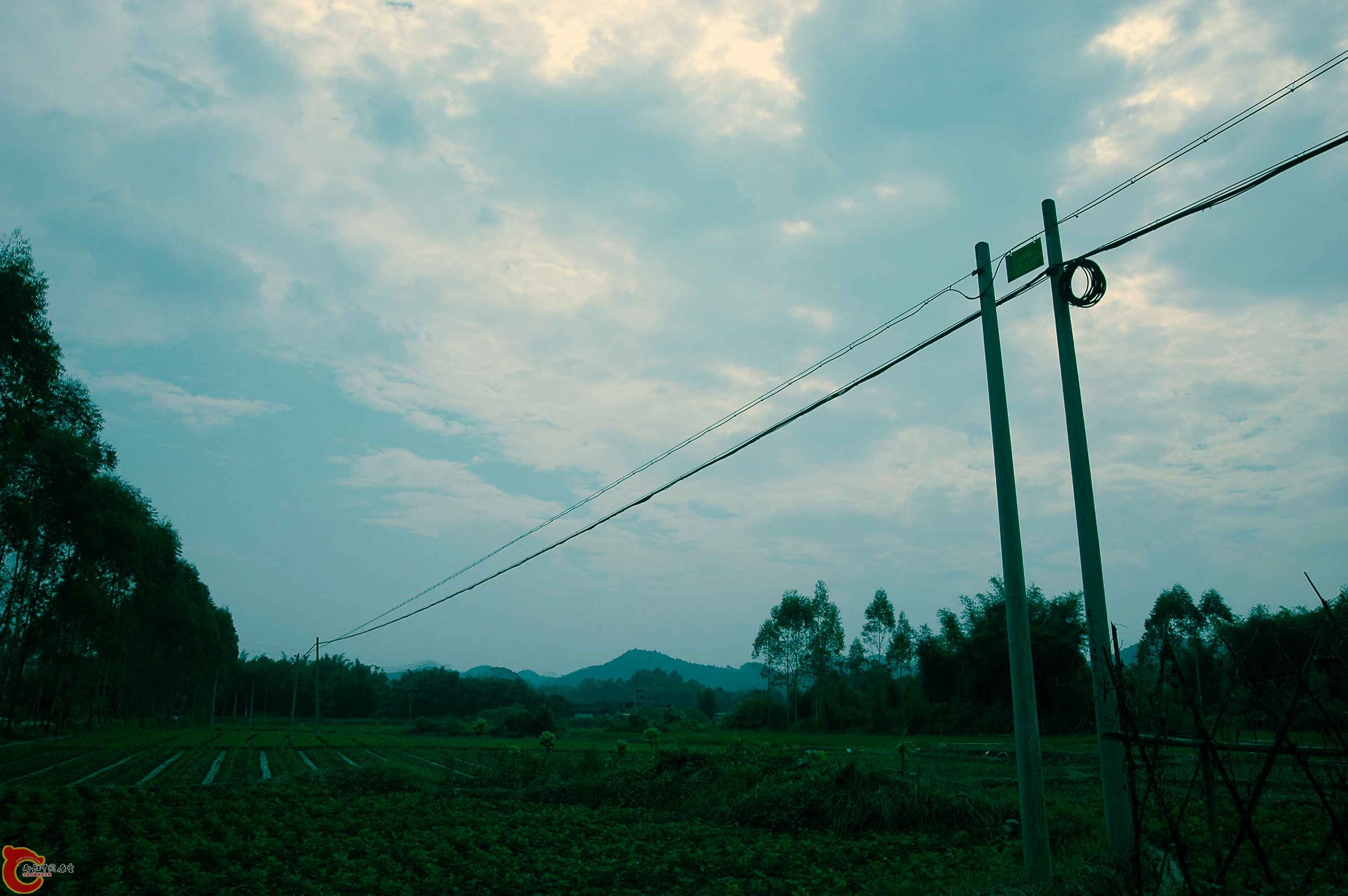 DSC_1333_副本.jpg