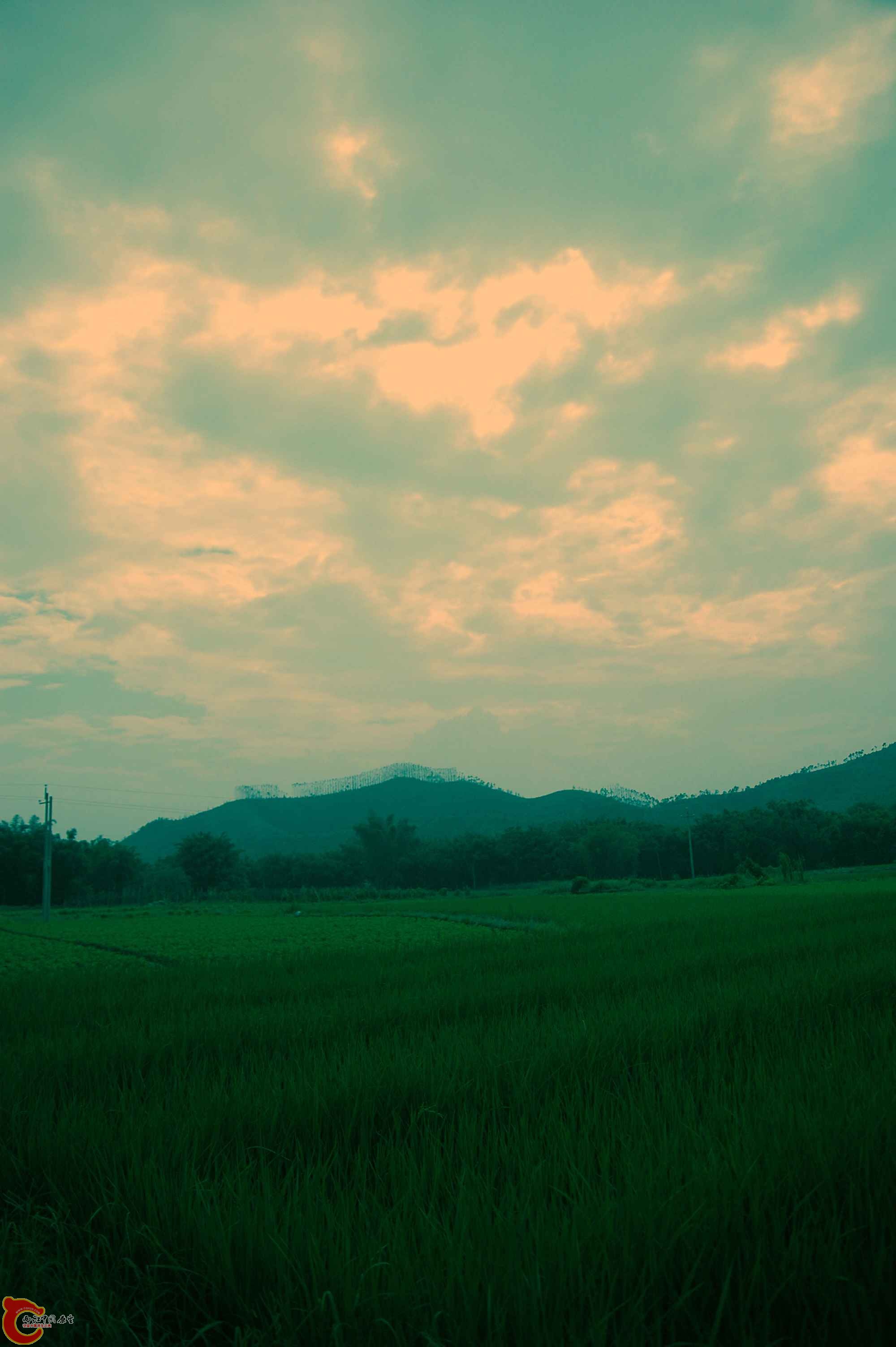 DSC_1369_副本.jpg