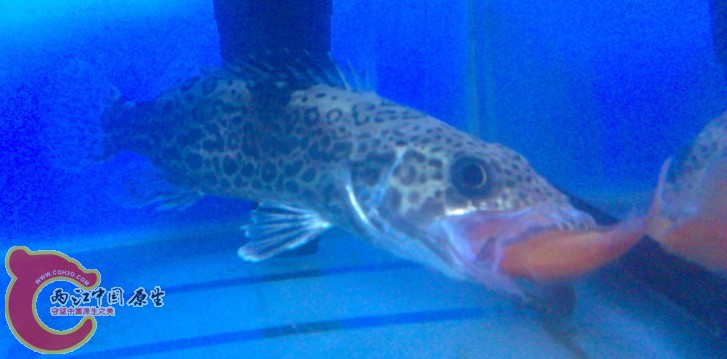 QQ图片20110822171633.jpg