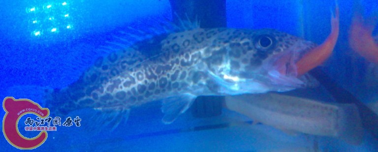 QQ图片20110822171714.jpg