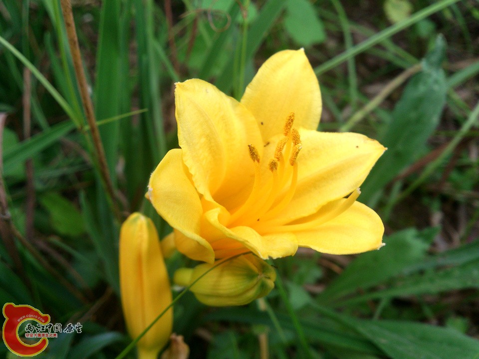 DSC_0517_副本.jpg