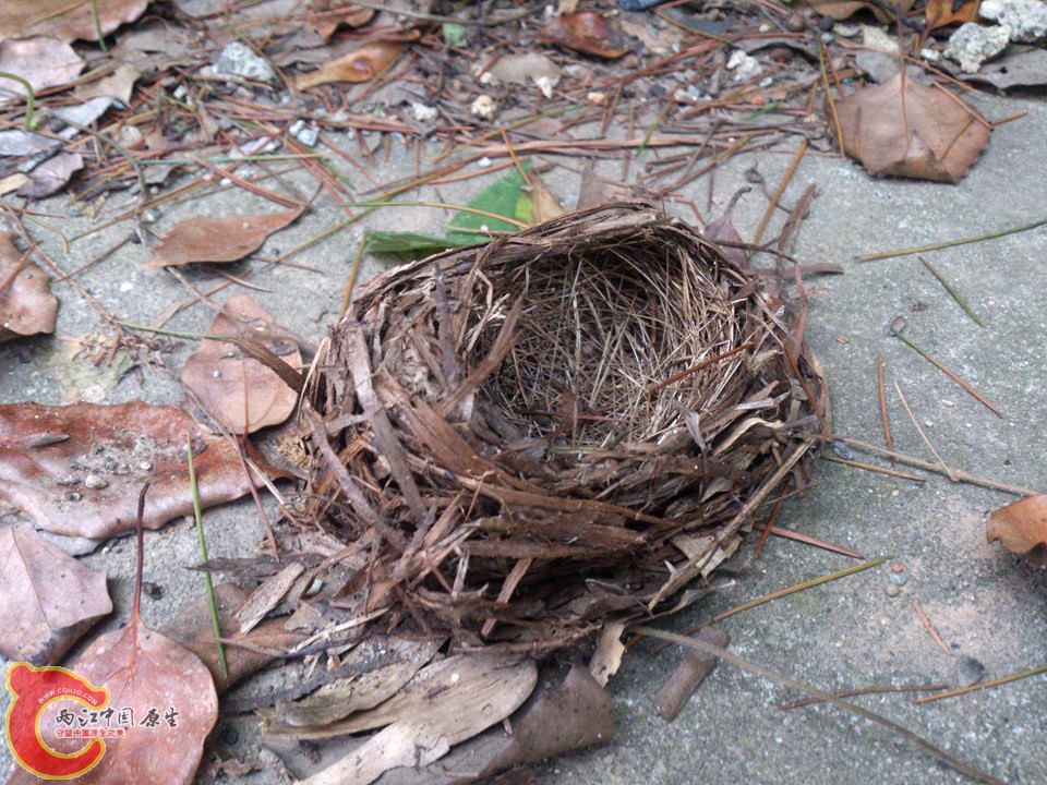 DSC_0398_副本.jpg