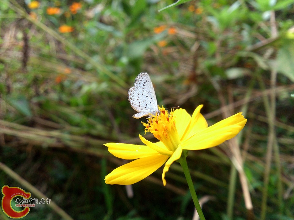 DSC_0405_副本.jpg