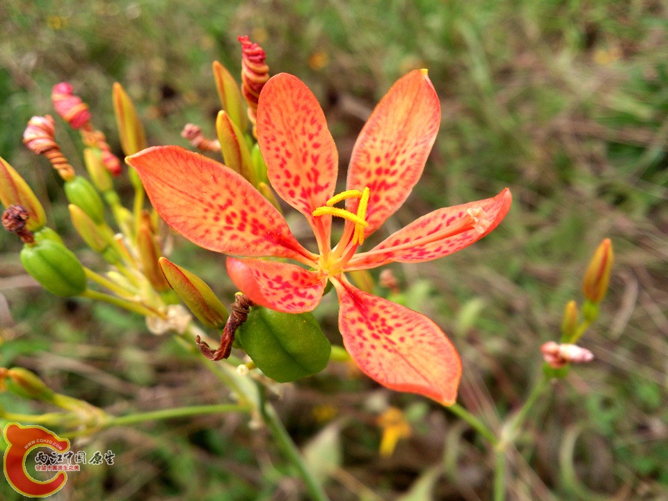 DSC_0433_副本.jpg