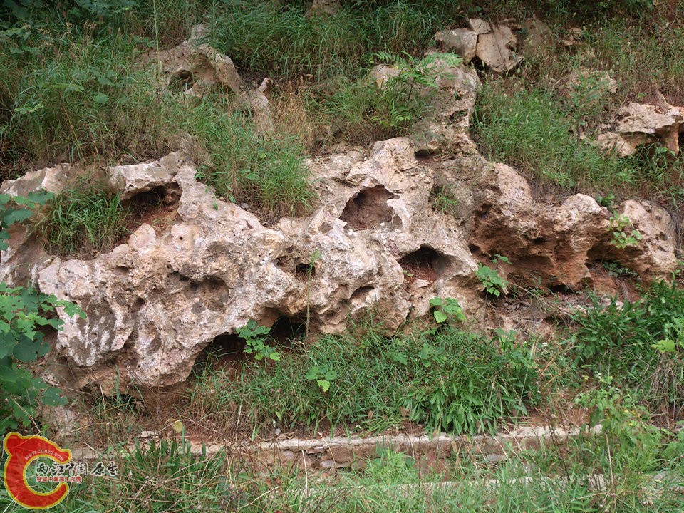 DSC_0444_副本.jpg