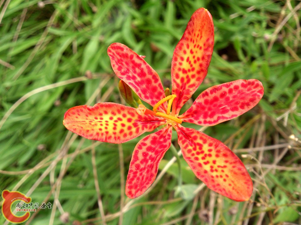 DSC_0463_副本.jpg