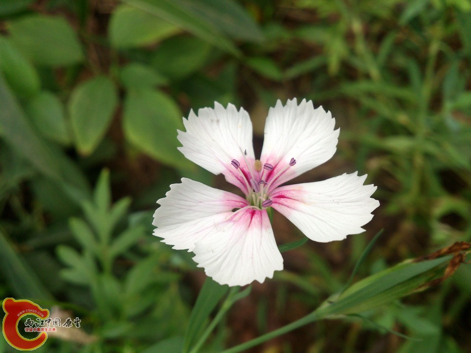 DSC_0469_副本.jpg