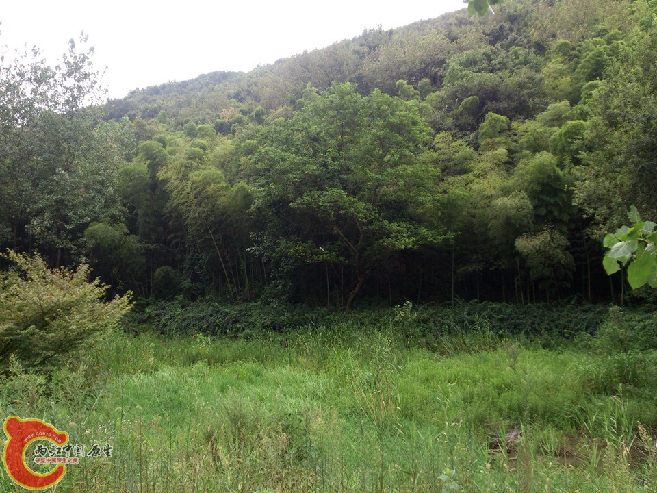 DSC_0480_副本.jpg