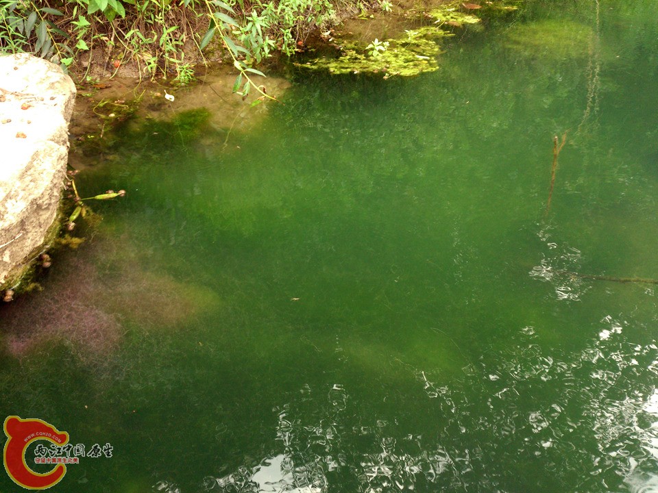 DSC_0482_副本.jpg