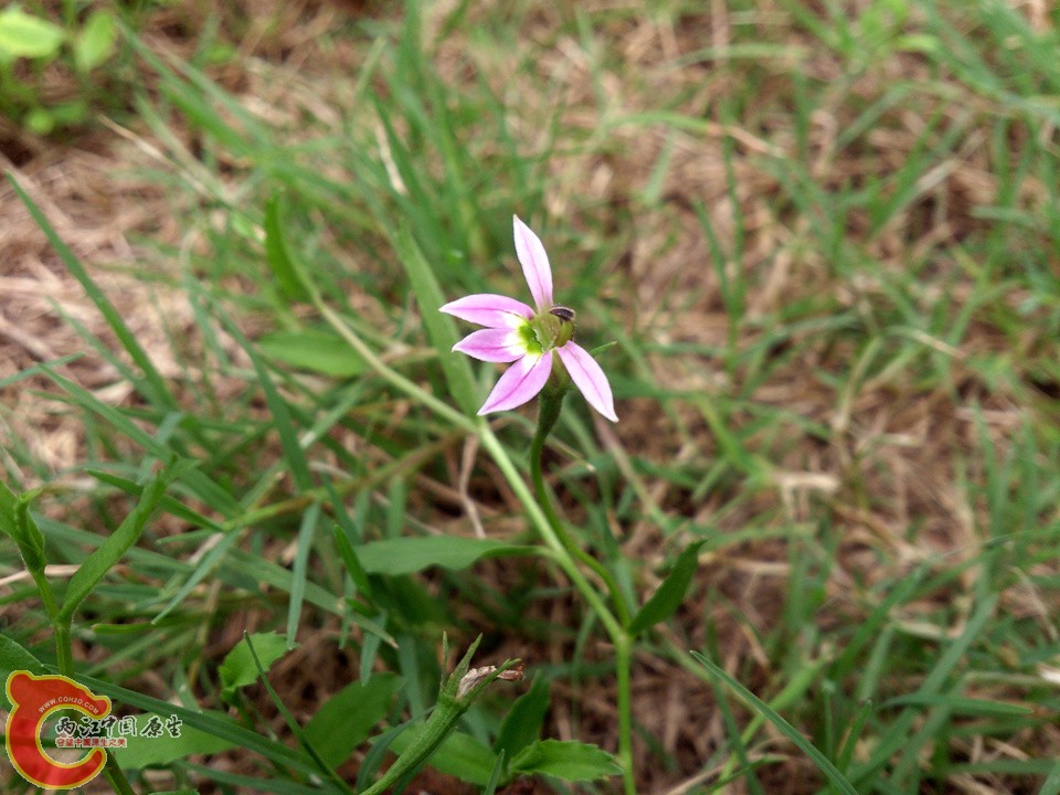 DSC_0485_副本.jpg