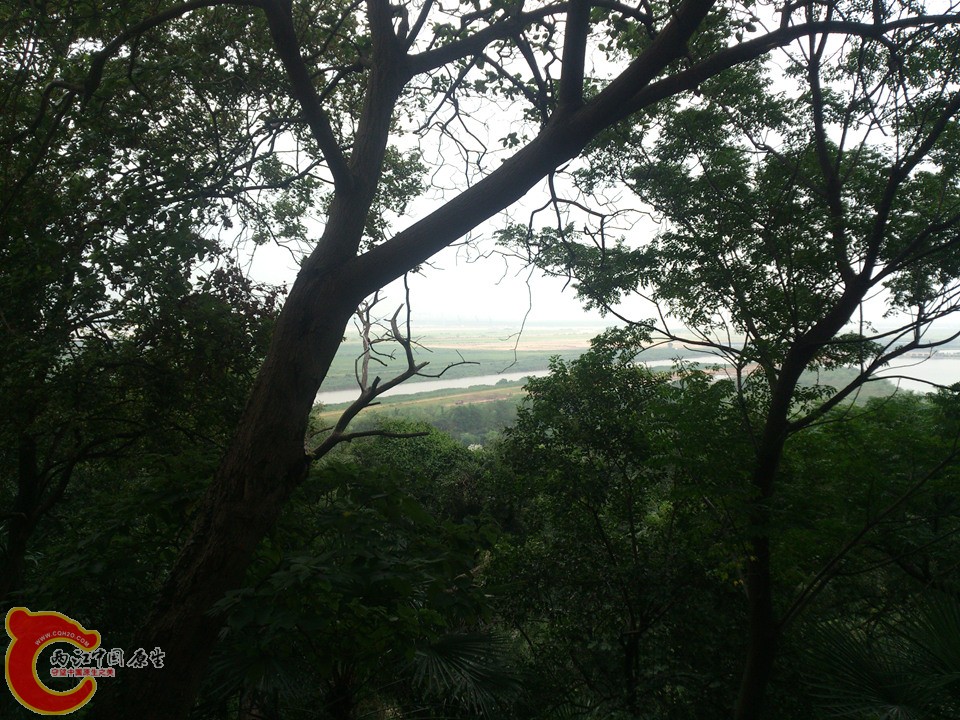 DSC_0513_副本.jpg
