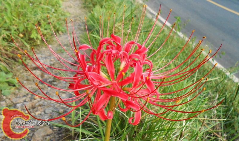 DSCN1284.jpg