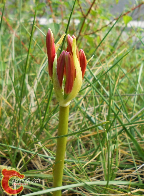 DSCN1289.jpg