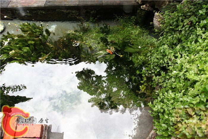 照片 1085.jpg
