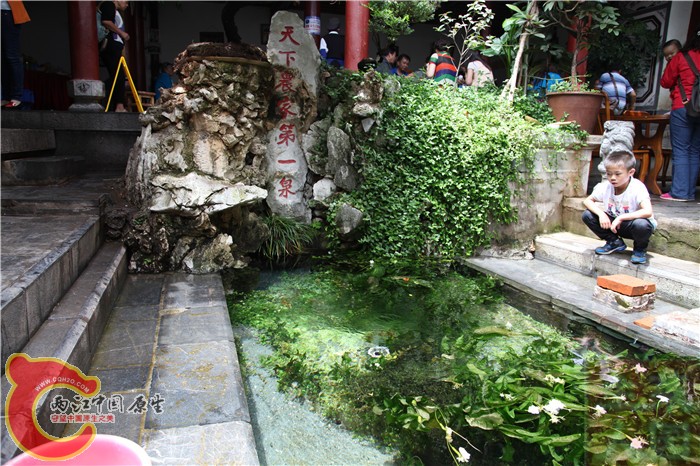 照片 1091.jpg