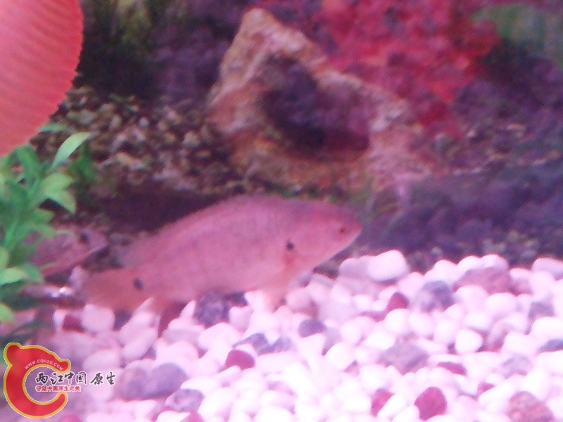 20130824_215936.jpg