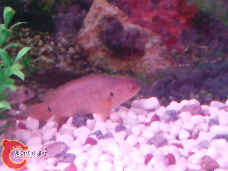 20130824_215938.jpg