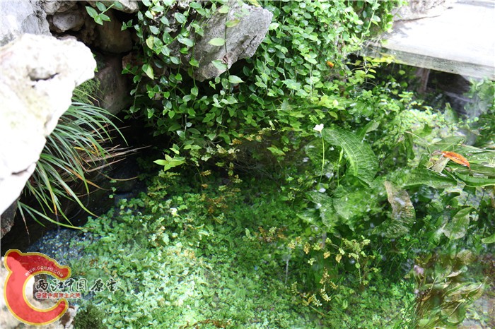 照片 1096.jpg