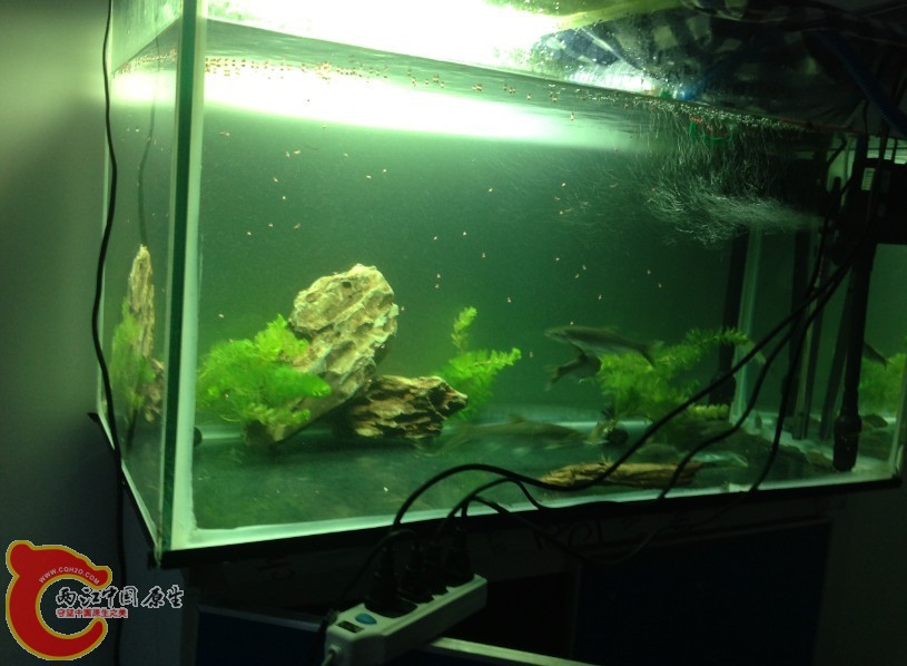 QQ图片20130825003219.jpg