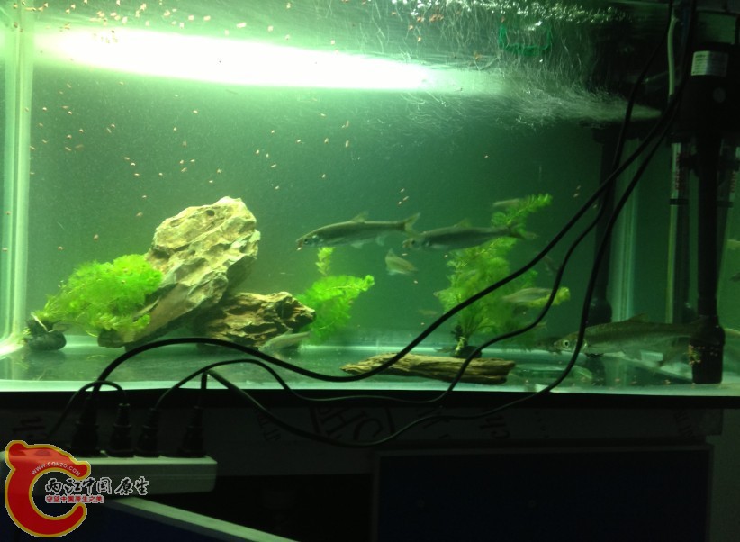 QQ图片20130825003353.jpg