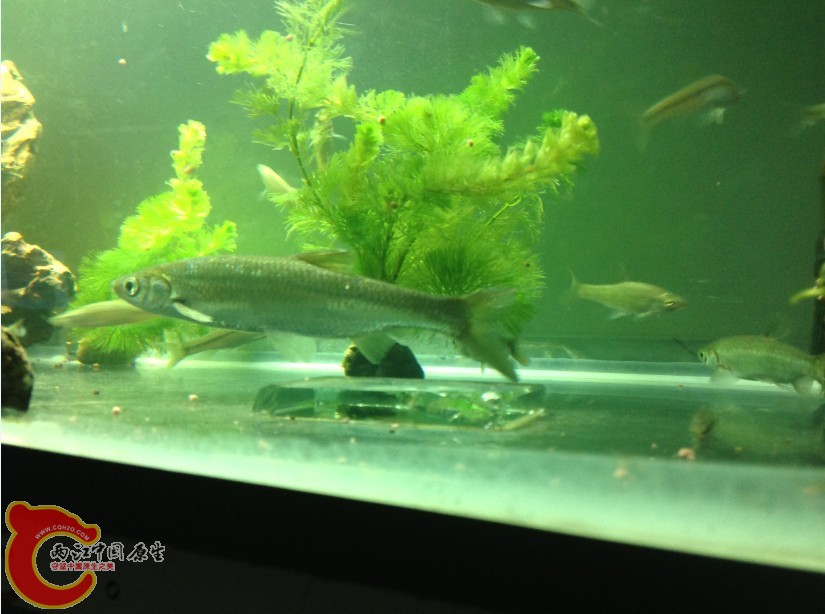 QQ图片20130825003437.jpg