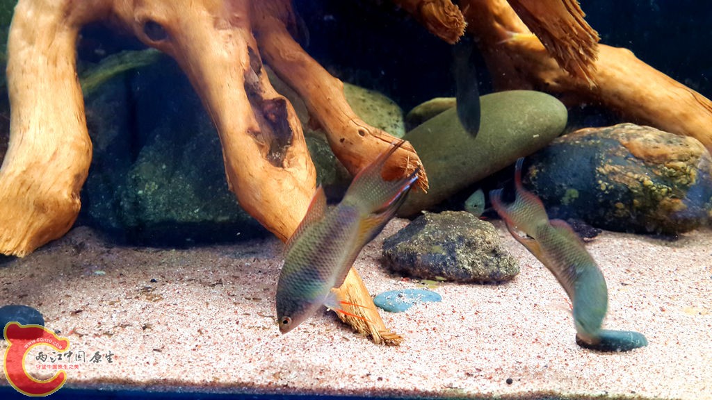 20130825_154935_副本.jpg