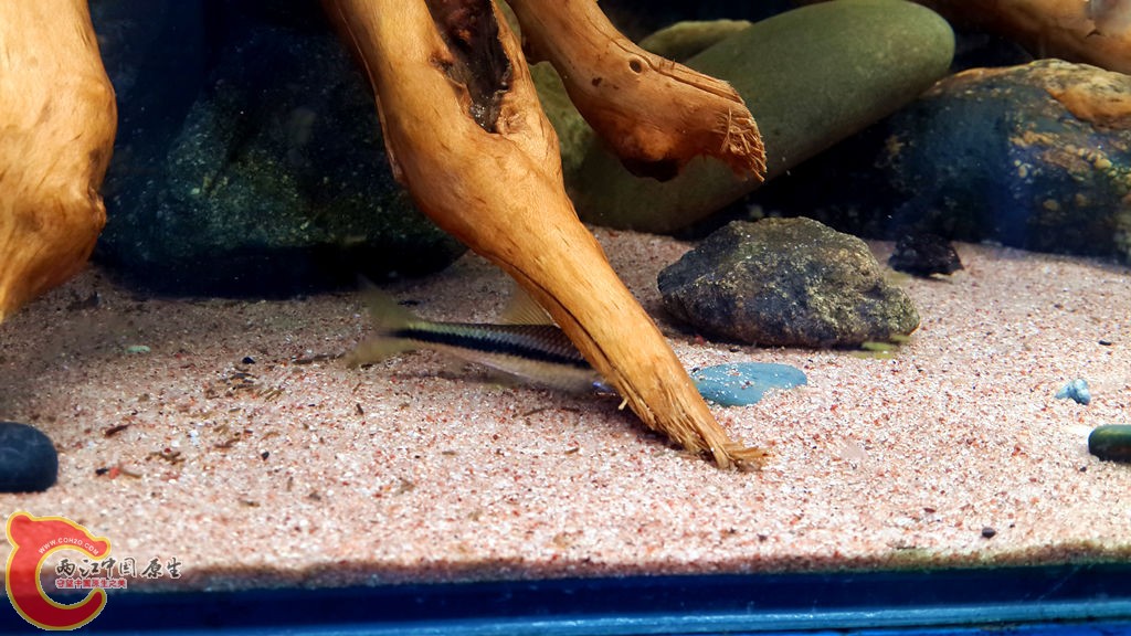 20130825_155145_副本.jpg