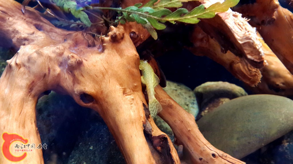 20130825_155157_副本.jpg