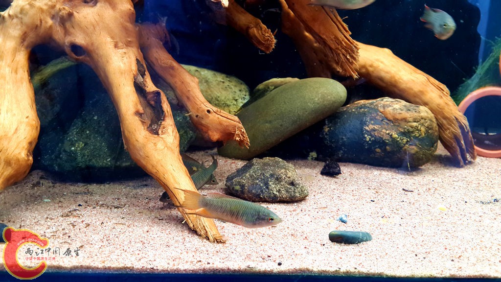 20130825_155340_副本.jpg