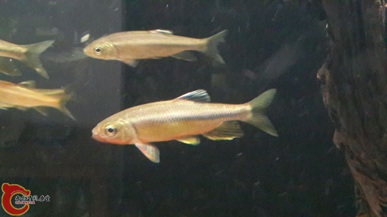 QQ图片20130826120741.jpg