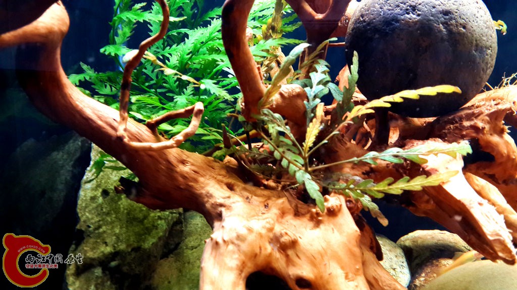 20130826_211427_副本.jpg