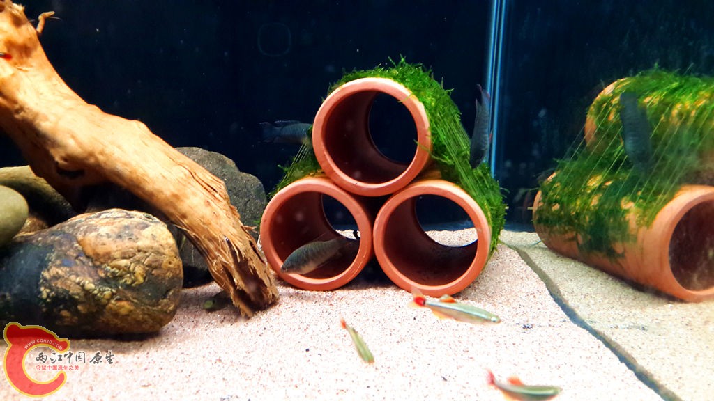 20130826_211612_副本.jpg