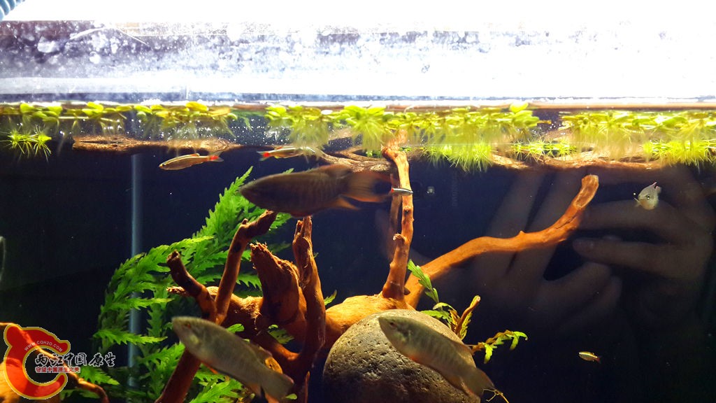 20130826_211640_副本.jpg