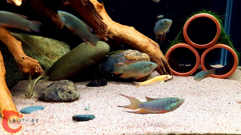 20130826_212125_副本.jpg