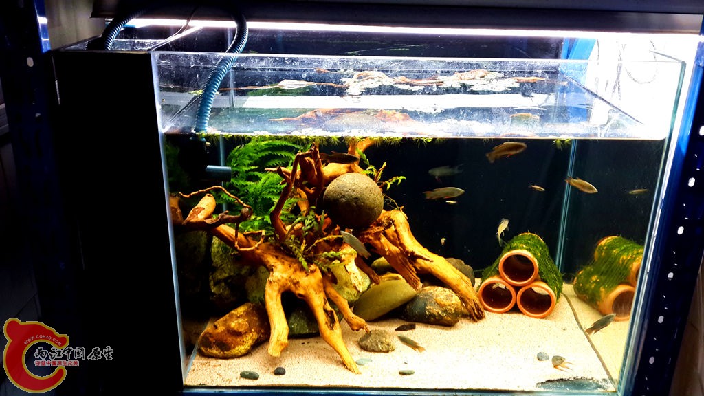 20130826_212717_副本.jpg