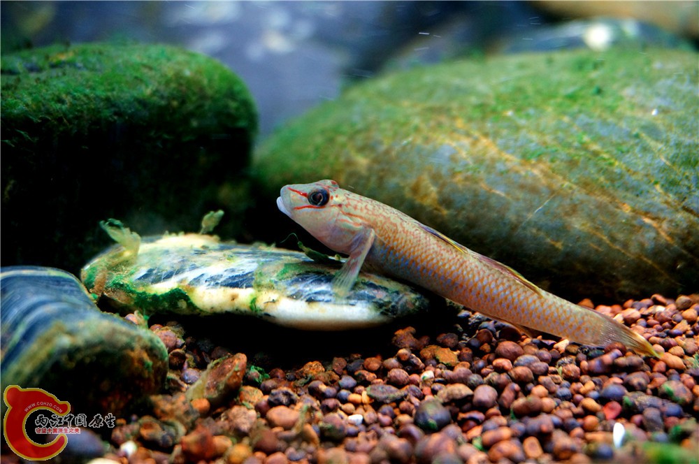 明潭 换01.jpg 明潭 换01.jpg