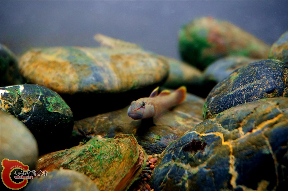 明潭 换02.jpg 明潭 换02.jpg