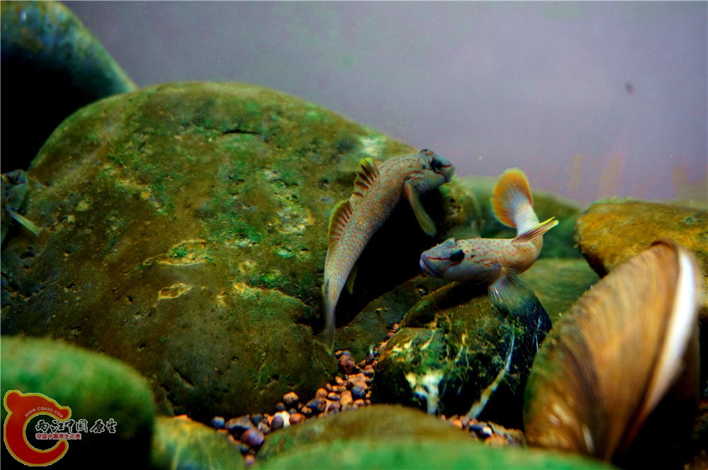 明潭 换09.jpg 明潭 换09.jpg