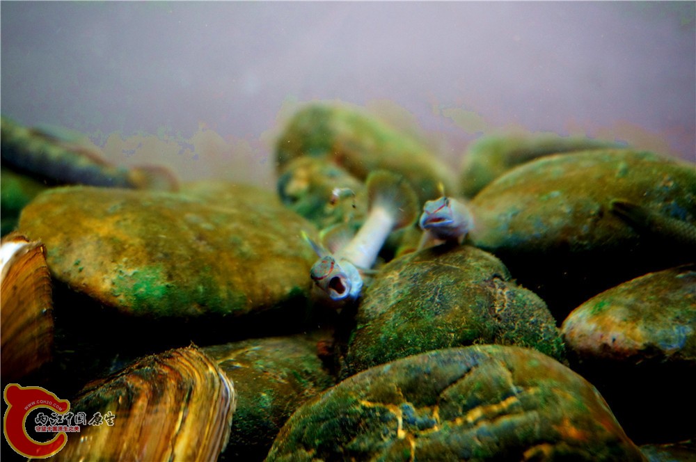 明潭 换10.jpg 明潭 换10.jpg