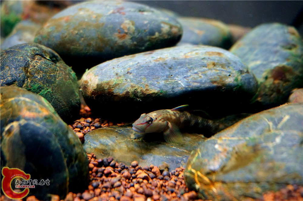 明潭 换20.jpg 明潭 换20.jpg